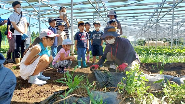 食育をテーマに親子で学ぶジャガイモ収穫体験イベント開催　千葉エコ・エネルギー