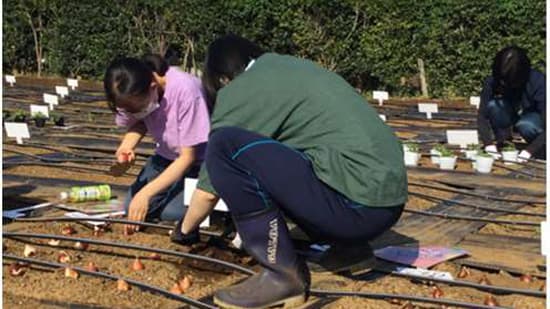 「2027年国際園芸博覧会」に向けて植栽試験の秋植え作業を実施