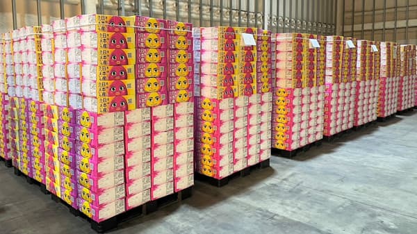 日本産さつまいもの輸出用段ボール「2023日本パッケージングコンテスト」で入賞　Wismettacフーズ