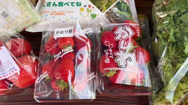 農ガチャ初登場　野菜詰め放題も「柏市公設市場一般開放デー」開催　千葉県柏市