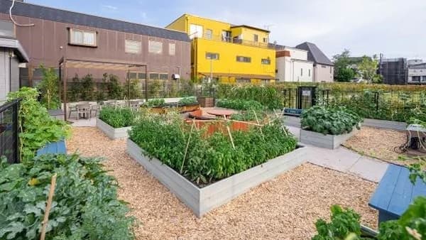 都市部における「食」と「農」と「健康」の課題解決を目指す実証実験を開始　NTT東日本など