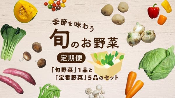 旬の野菜と定番野菜のサブスクで「季節を味わう 旬のお野菜定期便」開始　ポケットマルシェ