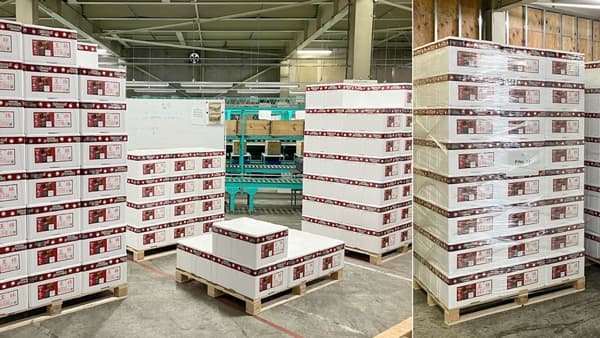 2022年度の春節向け輸出　贈答用りんごの売上拡大で業績は過去最高　日本農業