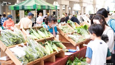産地直送の新鮮な朝採れ夏野菜がそろう「トウモロコシ&枝豆フェスティバル」開催　森ビル