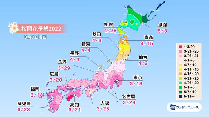 桜開花予想　3月18日に東京・福岡から　春の高温傾向で生長が加速　ウェザーニューズ