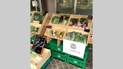 さいたま市内で栽培の有機野菜「農産マルシェ in Bibli」開催　さいたま観光国際協会