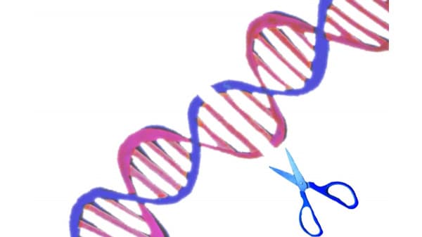 「ゲノム編集育種を考えるネットワーク」最新情報セミナー開催