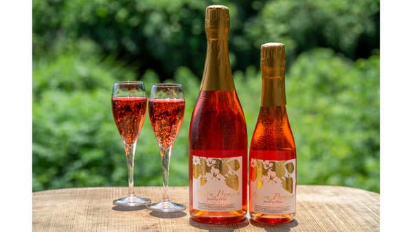 沿線のいちご生産者と連携「あまおうプレミアムスパークリングワイン」販売開始　にしてつグループ