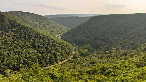 日本企業10社　住友林業グループ組成の森林ファンドへ共同出資