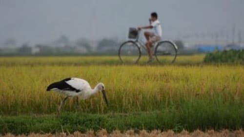 ＪＡたじま「コウノトリ育むお米」など販売　JAL・農協観光による商流活性化イベント開催