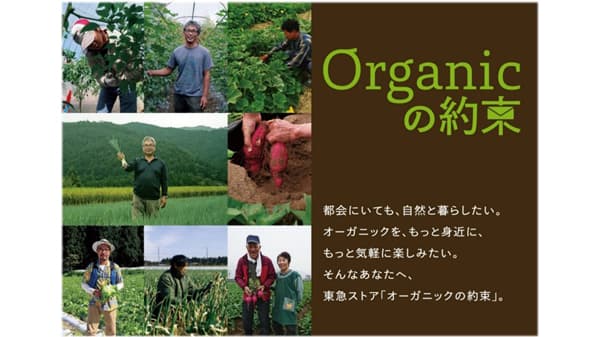 産地レポート番組「Organicの約束」第2弾「レタス編」配信　東急ストア