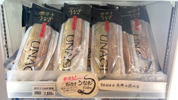 土用の丑の日「四万十川のウナギ」4年ぶりに店頭販売