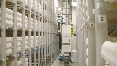 シンガポール食品庁から鶏卵農場建設の基本認可取得　イセ・フーズ・ホールディングス