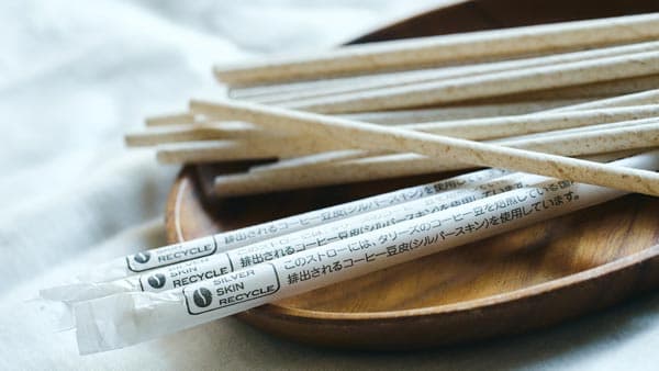 コーヒー豆の皮から「シルバースキン配合紙ストロー」タリーズなどで導入　伊藤園