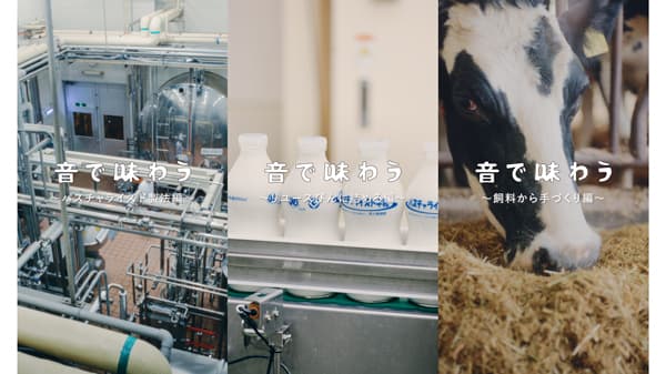 パスチャライズド牛乳ができるまで　目と耳で楽しむASMR動画を公開　生活クラブ