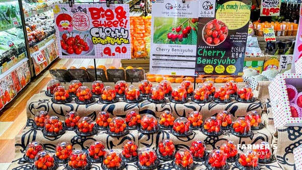 "山形県産さくらんぼ"700kg　香港・シンガポールへ輸出　FARMER'S