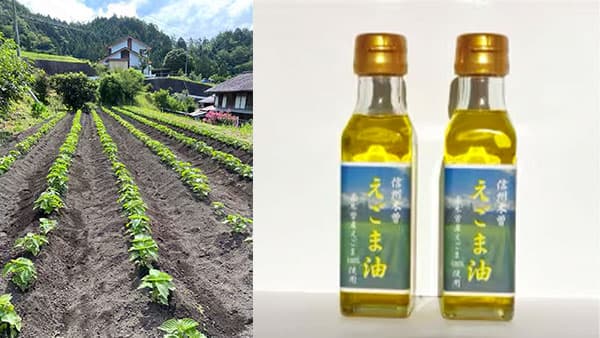 耕作放棄地を解消する「えごまプロジェクト」の寄付開始　長野県南木曽町と「さとふる」