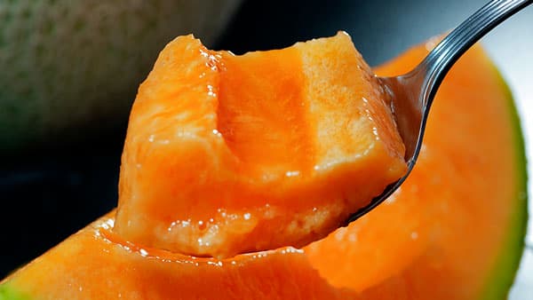夕張メロン"特秀"取り扱い開始「豊洲市場ドットコム」など予約受付中　食文化