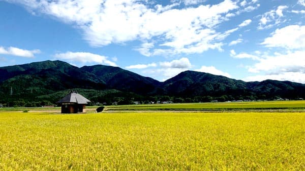 米農家の厳しい状況に関心を　4月8日までCF実施中　ファームみなみの郷