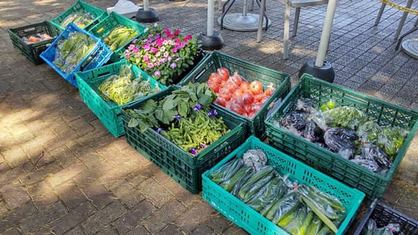 光が丘公園・代々木公園・小金井公園で「地場野菜即売会」開催　東京都公園協会