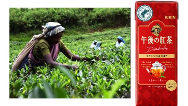 環境再生型農業の実践へ「スコアカード」レインフォレスト・アライアンスと運用　キリン