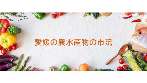 異常気象による価格変動に対応「愛媛の農水産物の市況」Web版ページを新設