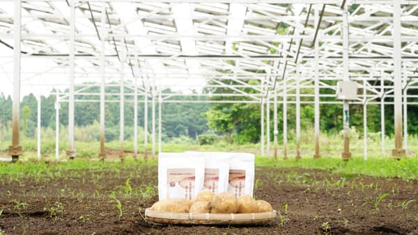 つなぐファームが初の加工品「おやつスープ」先行販売　千葉エコ・エネルギー