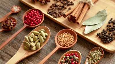 スパイス＆ハーブを学ぶ「普及セミナー」「研究成果セミナー」開催　山崎香辛料振興財団