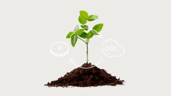 みどりの食料システム法に基づき認定「バイオ炭の農地施用」J-クレジットに承認　TOWING