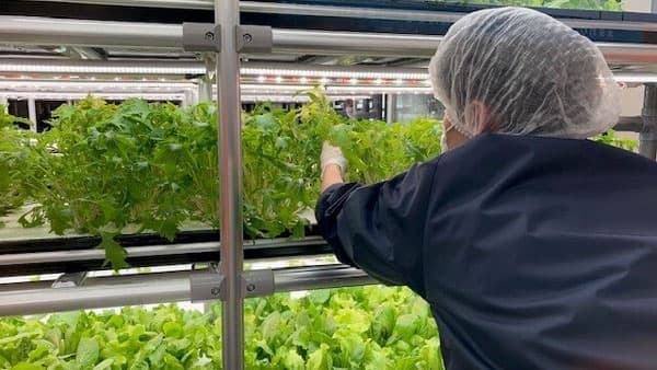 南日本運輸倉庫とDENBA DISSが共同運営　農福一体型就労継続支援B型事業所を開設