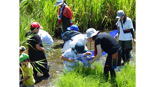 ラムサール湿地で感じる生物多様性　涸沼で生き物観察開催　パルシステム茨城 栃木