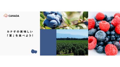 カナダ産ベリー類を紹介「カナダフェア」開催　15％オフクーポン配布