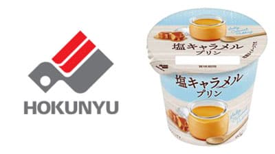 ほんのり塩味で甘み引き立つ「塩キャラメルプリン」新発売 　北海道乳業
