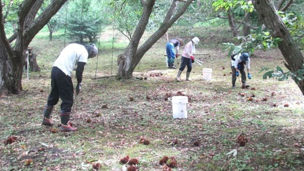 地域をつなぐ活動を応援「パルシステム千葉コミュニティ活動助成基金」公募開始
