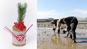 新年は畳の香りで「国産い草」の正月飾り　青山フラワーマーケットに登場　イケヒコ
