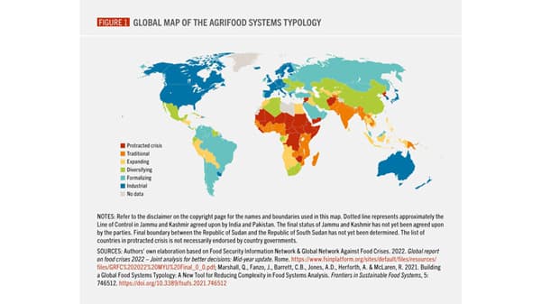 不健康な食生活がもたらす「隠れたコスト」年間8兆ドル　FAO世界食料農業白書