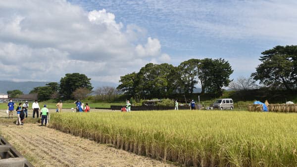 二宮金次郎生誕の地で稲刈り体験"小田急親子ゼミ"参加者募集中　小田急電鉄
