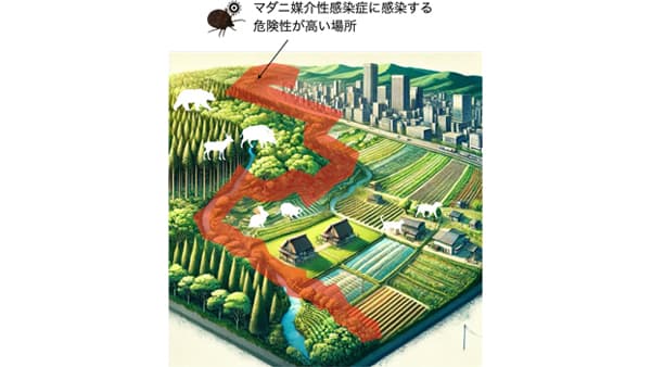 高致命率のマダニ媒介性感染症SFTSの感染が発生しやすい環境を解明