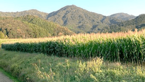 「新しい産直」へ　若手生産者と飼料国産化の現場視察・研修会を開催　グリーンコープ連合会