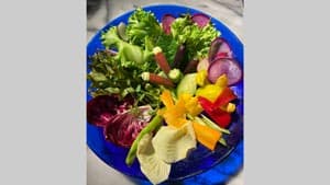 グルメイベント「花と楽しむ奈良のおいしい食フェスタ」8日から開催