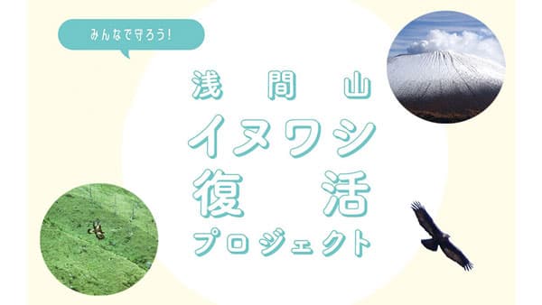 「浅間山におけるイヌワシ保護増殖事業実施計画」策定に協力　日本自然保護協会