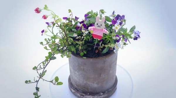 あけぼの山農業公園にてグリーンフェスを開催！　柏市