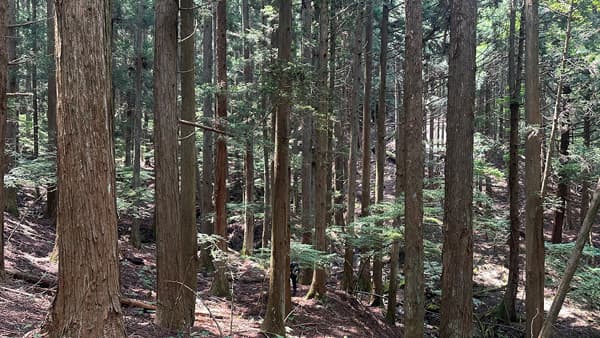 南都留森林組合と「森林産直」10周年「パルシステムの森」を提起