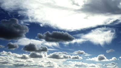 「世界透明性フォーラム2024」野心的な気候変動対策の推進に向けて　FAO