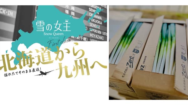 農作物の流通体制の新モデル構築に向けた取り組み開始　マイナビ農業