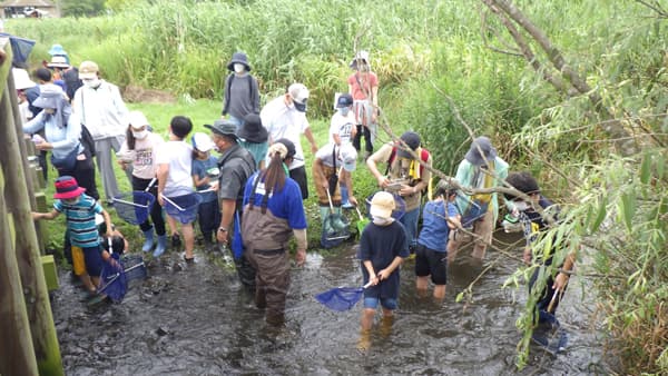 親子で涸沼生き物観察　ラムサール条約登録湿地で開催　パルシステム茨城　栃木