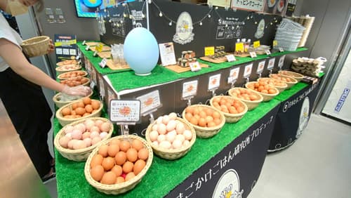 「幻の卵屋さん」JR大阪駅に出店　日本たまごかけごはん研究所
