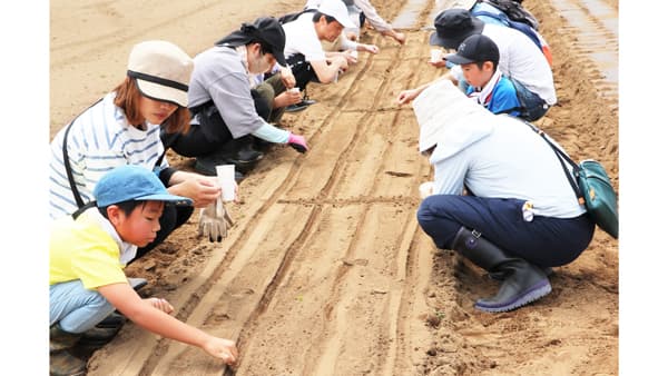 伊勢崎市「みんなの畑」家族で農業体験開催　パルシステム群馬