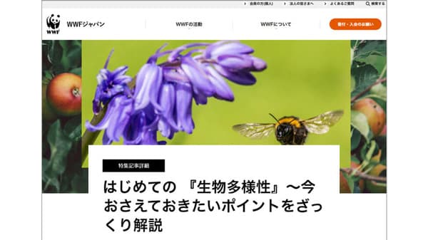 「EARTH HOUR 2023」はじめての「生物多様性」特設ページ公開　WWFジャパン