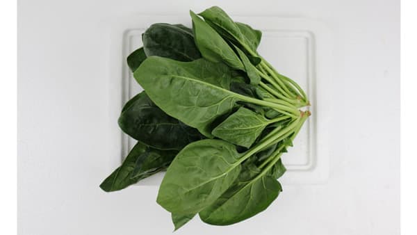ほうれん草を常温で鮮度維持輸送　ＪＡとまこまい広域と共同研究　大森花卉